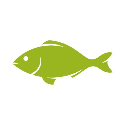 pesce