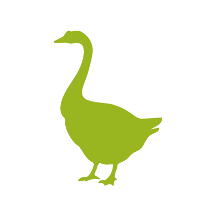 anatra