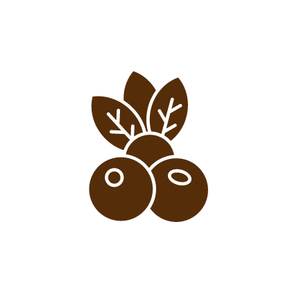 mirtilli